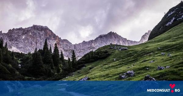 Защо почивката на планина е полезна за организма